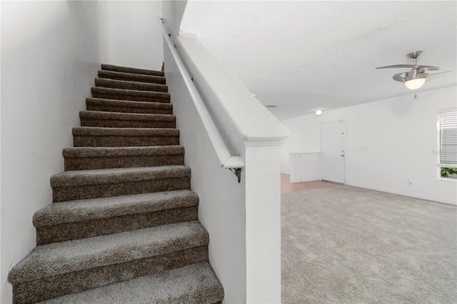 4110 Waterside Island Ct, Tampa, FL 33617 - photo 16