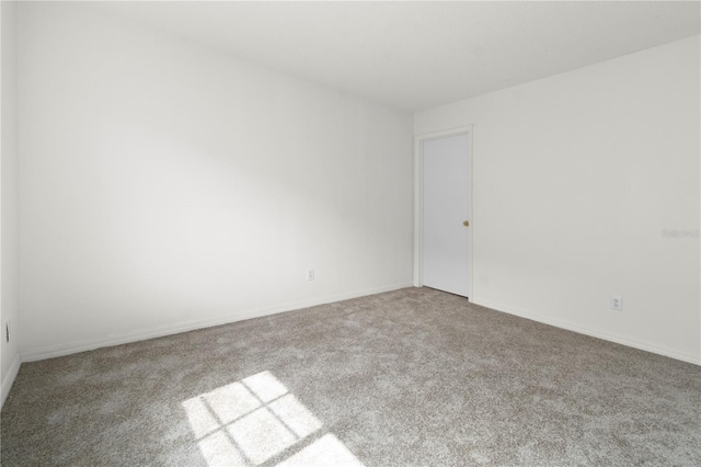 4110 Waterside Island Ct, Tampa, FL 33617 - photo 20