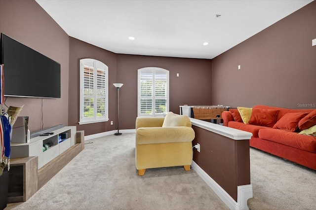 2555 Bryan Ln, Tarpon Springs, FL 34688 - photo 46