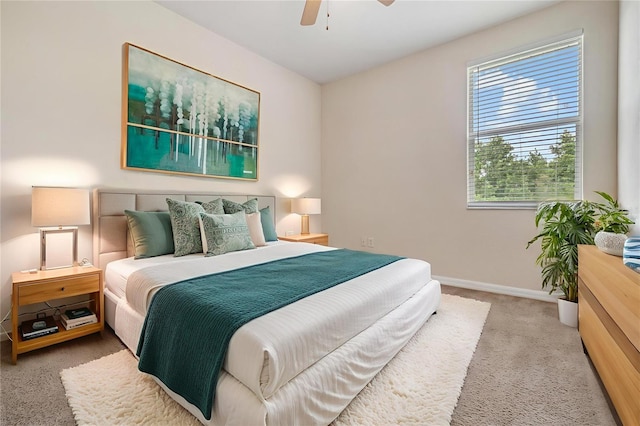 26832 Juniper Bay Dr, Wesley Chapel, FL 33544 - photo 29