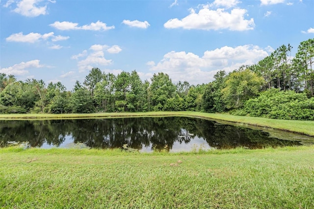 26832 Juniper Bay Dr, Wesley Chapel, FL 33544 - photo 33