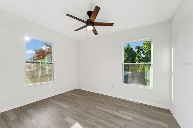 12306 Huckleberry Ct, Riverview, FL 33569 - photo 32