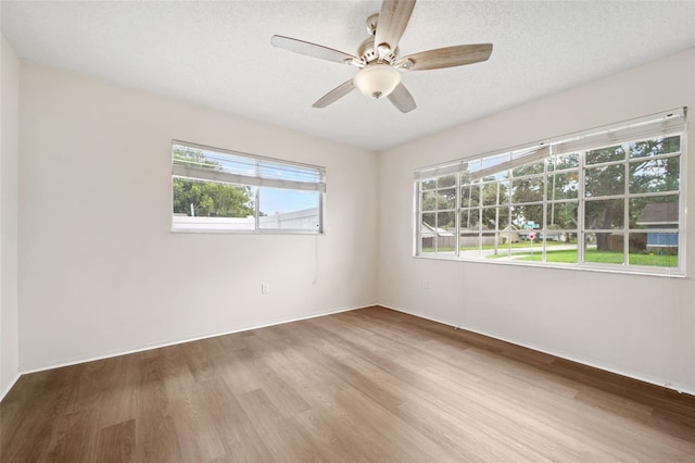 2086 Citrus Hill Ln, Palm Harbor, FL 34683 - photo 12