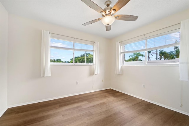 2086 Citrus Hill Ln, Palm Harbor, FL 34683 - photo 15