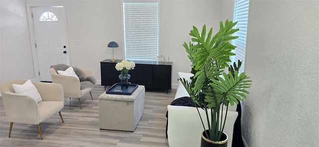3101 N 15th St, Tampa, FL 33605 - photo 6