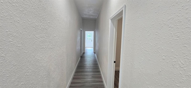 3101 N 15th St, Tampa, FL 33605 - photo 27