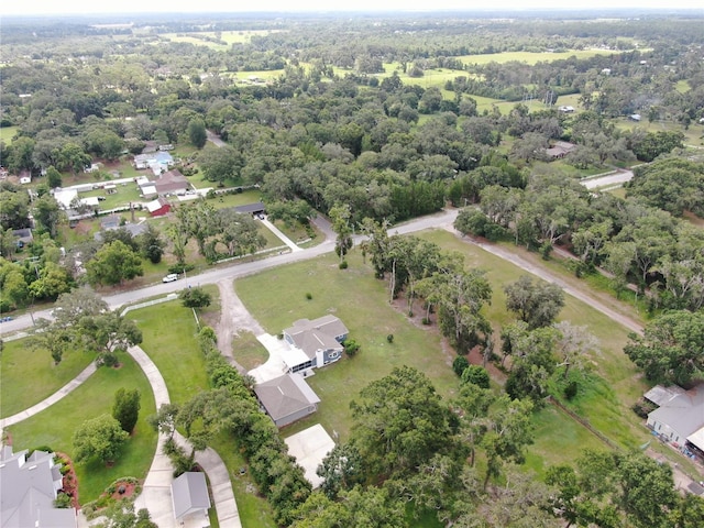 10103 Bryant Rd, Lithia, FL 33547 - photo 7