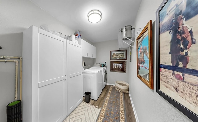 10103 Bryant Rd, Lithia, FL 33547 - photo 29