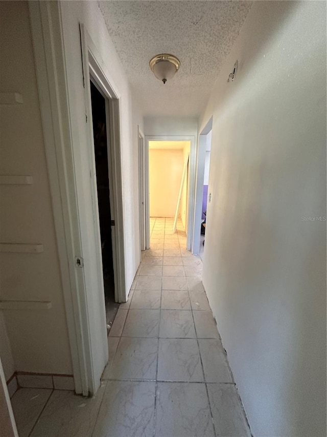 11207 Crossmill Dr, Tampa, FL 33625 - photo 10