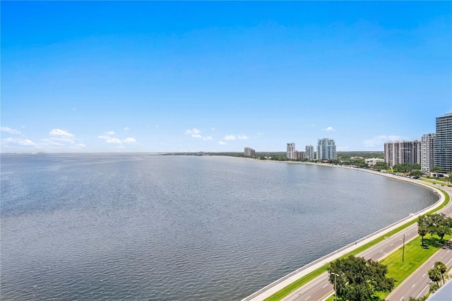 2619 Bayshore Blvd Unit 1400, Tampa, FL 33629 - photo 3