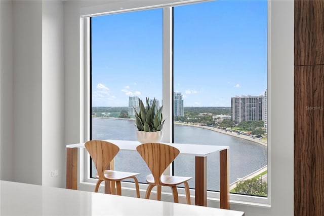 2619 Bayshore Blvd Unit 1400, Tampa, FL 33629 - photo 27