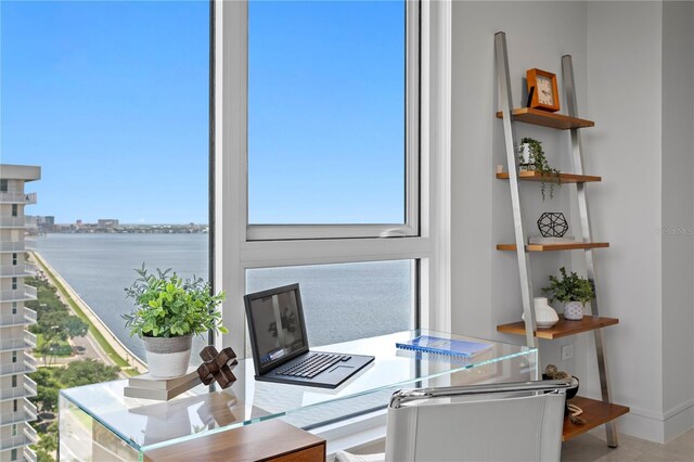 2619 Bayshore Blvd Unit 1400, Tampa, FL 33629 - photo 46
