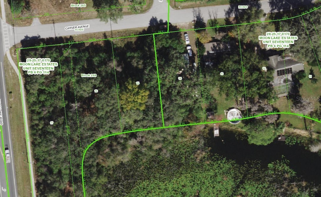 Carver, New Port Richey, FL 34654 - photo 2