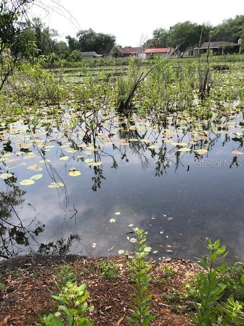 Carver, New Port Richey, FL 34654 - photo 4