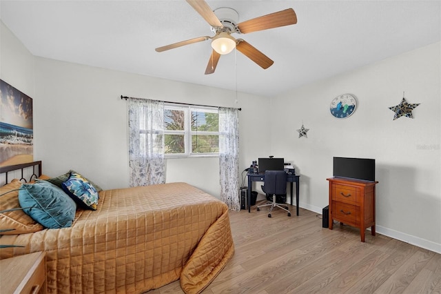 4100 Narvarez Way S, Saint Petersburg, FL 33712 - photo 27