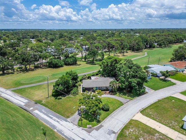 4100 Narvarez Way S, Saint Petersburg, FL 33712 - photo 43