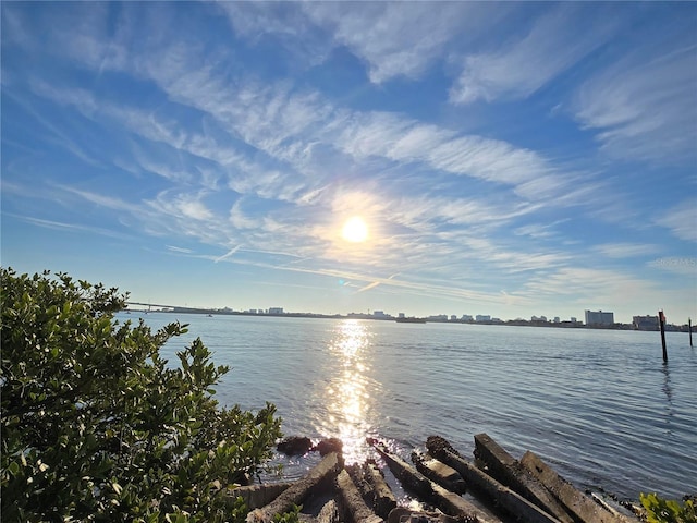 1824 Sylvan Dr, Clearwater, FL 33755 - photo 21