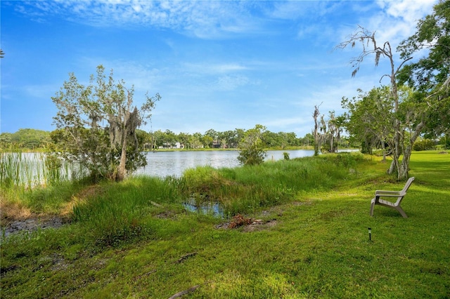 4850 Walnut Ridge Rd, Land O Lakes, FL 34638 - photo 59