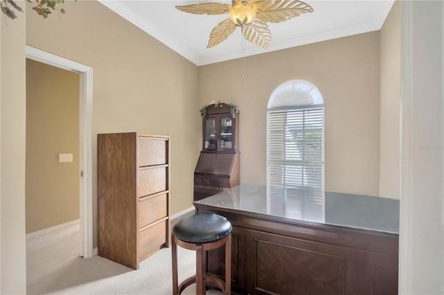 4850 Walnut Ridge Rd, Land O Lakes, FL 34638 - photo 28