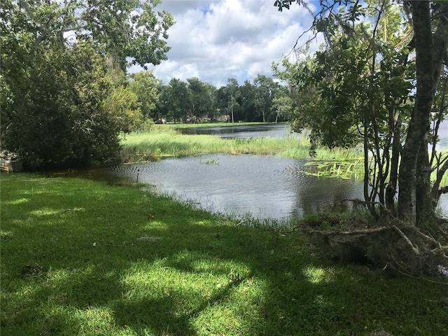 4850 Walnut Ridge Rd, Land O Lakes, FL 34638 - photo 6