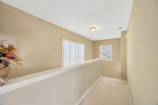 4850 Walnut Ridge Rd, Land O Lakes, FL 34638 - photo 51