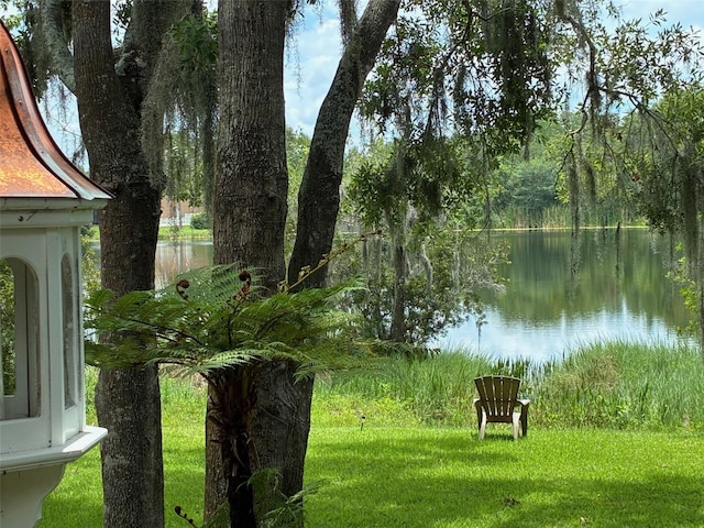 4850 Walnut Ridge Rd, Land O Lakes, FL 34638 - photo 62