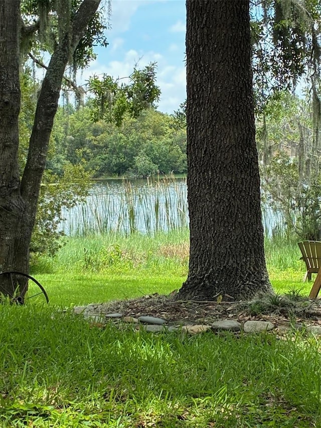 4850 Walnut Ridge Rd, Land O Lakes, FL 34638 - photo 65