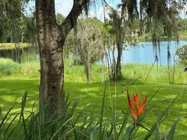 4850 Walnut Ridge Rd, Land O Lakes, FL 34638 - photo 5
