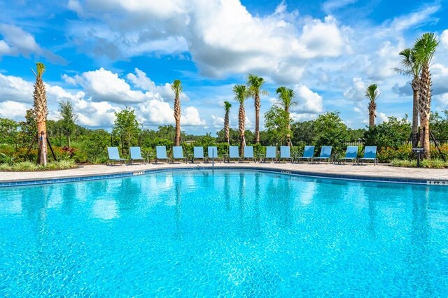 12487 Gust Ct, Hudson, FL 34669 - photo 26