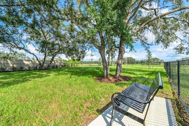 12487 Gust Ct, Hudson, FL 34669 - photo 29