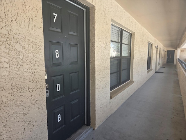 7808 Niagara Ave Unit 222, Tampa, FL 33617 - photo 3