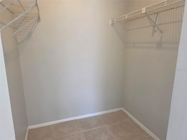 7808 Niagara Ave Unit 222, Tampa, FL 33617 - photo 39