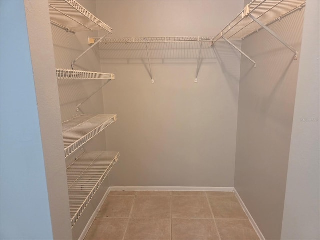 7808 Niagara Ave Unit 222, Tampa, FL 33617 - photo 27