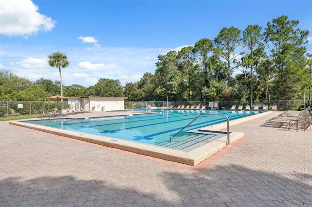 515 Hollow Ridge Rd, Palm Harbor, FL 34683 - photo 57