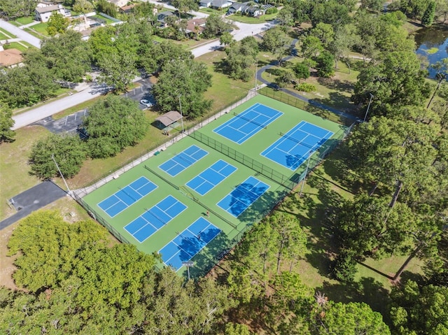515 Hollow Ridge Rd, Palm Harbor, FL 34683 - photo 59
