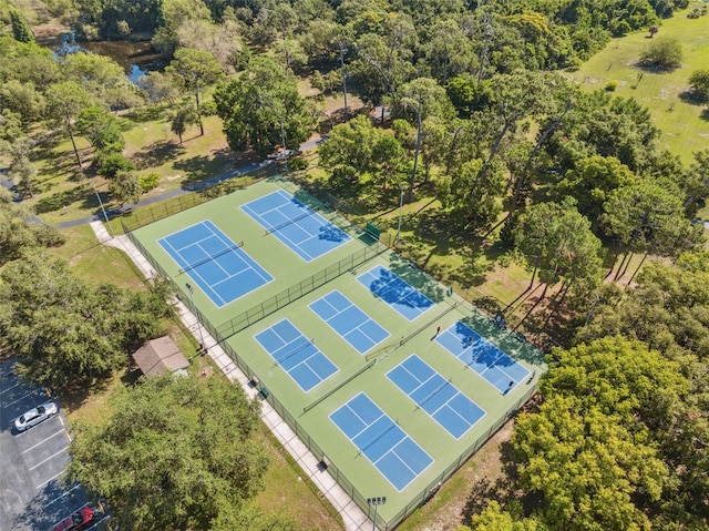 515 Hollow Ridge Rd, Palm Harbor, FL 34683 - photo 60