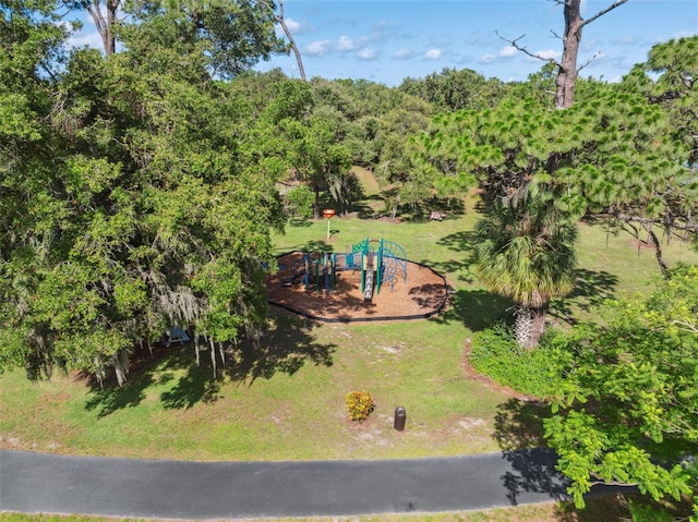 515 Hollow Ridge Rd, Palm Harbor, FL 34683 - photo 62