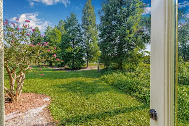 13509 Palmwood Ln, Tampa, FL 33618 - photo 16