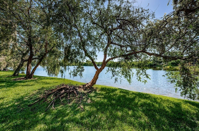 10735 Village Club Cir N Unit 104, Saint Petersburg, FL 33716 - photo 12