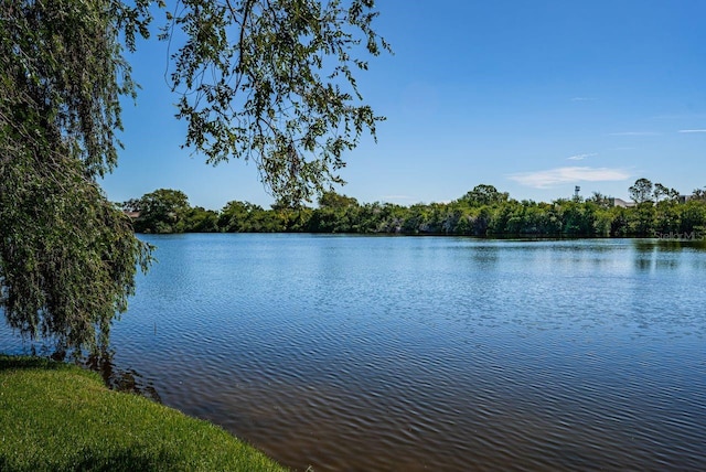 10735 Village Club Cir N Unit 104, Saint Petersburg, FL 33716 - photo 48