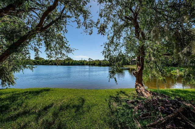 10735 Village Club Cir N Unit 104, Saint Petersburg, FL 33716 - photo 49