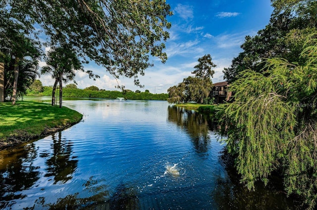 10735 Village Club Cir N Unit 104, Saint Petersburg, FL 33716 - photo 58