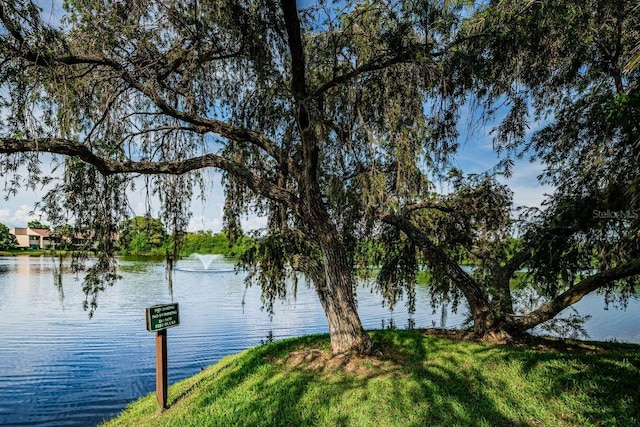 10735 Village Club Cir N Unit 104, Saint Petersburg, FL 33716 - photo 59