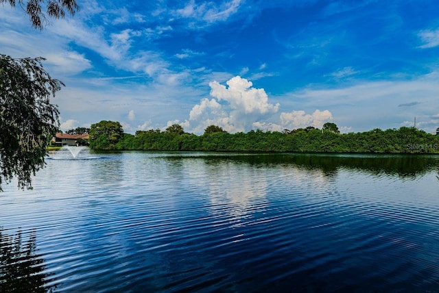 10735 Village Club Cir N Unit 104, Saint Petersburg, FL 33716 - photo 60