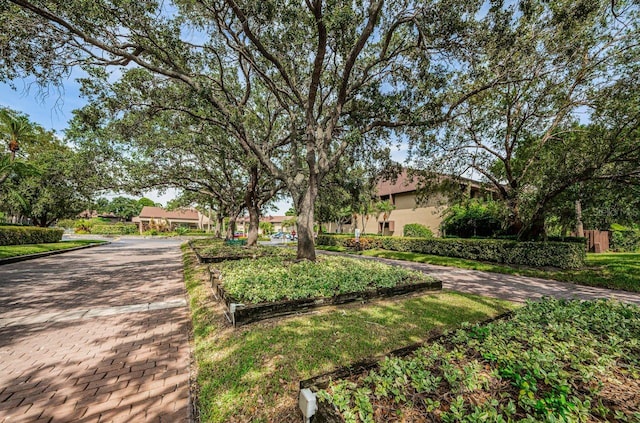 10735 Village Club Cir N Unit 104, Saint Petersburg, FL 33716 - photo 82