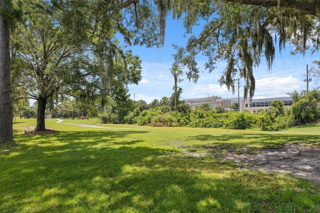 3266 Lori Ln, New Port Richey, FL 34655 - photo 4
