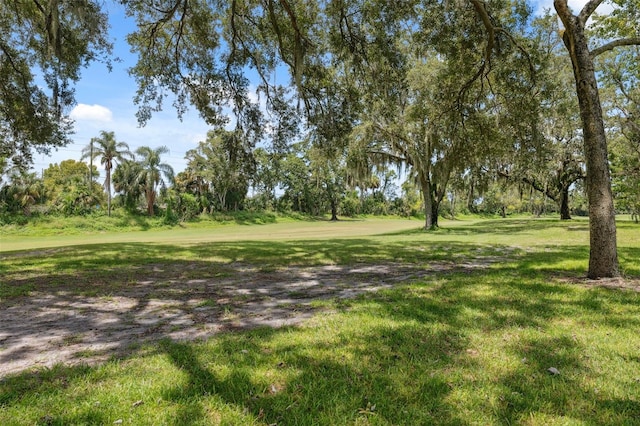 3266 Lori Ln, New Port Richey, FL 34655 - photo 29