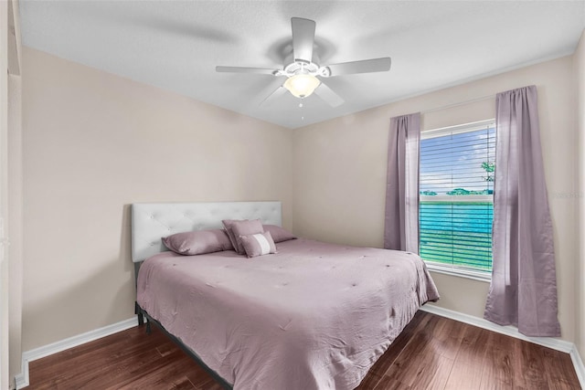 1453 Blossom Bayou Cir, Ruskin, FL 33570 - photo 15