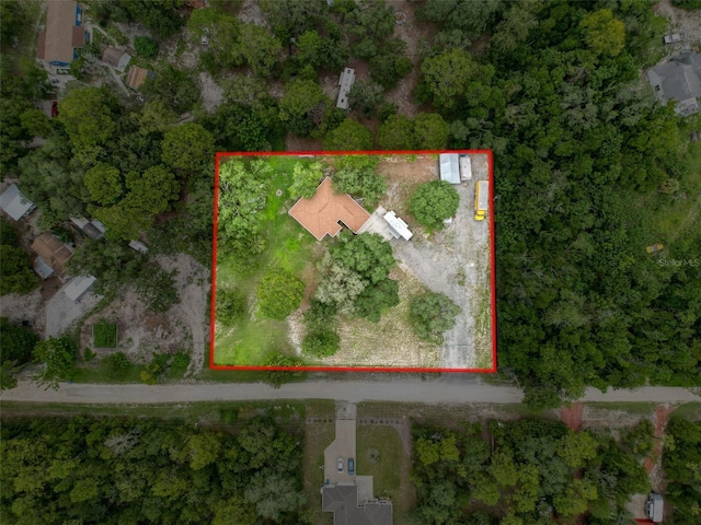 14056 Tayco Dr, Weeki Wachee, FL 34614 - photo 4