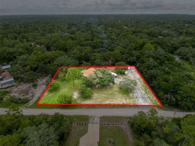 14056 Tayco Dr, Weeki Wachee, FL 34614 - photo 5